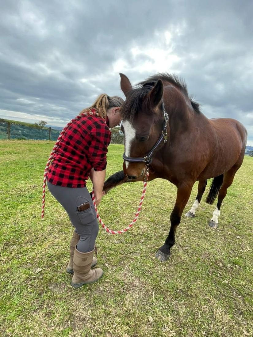 Dr Kelly working on a horse's foreleg in a paddock